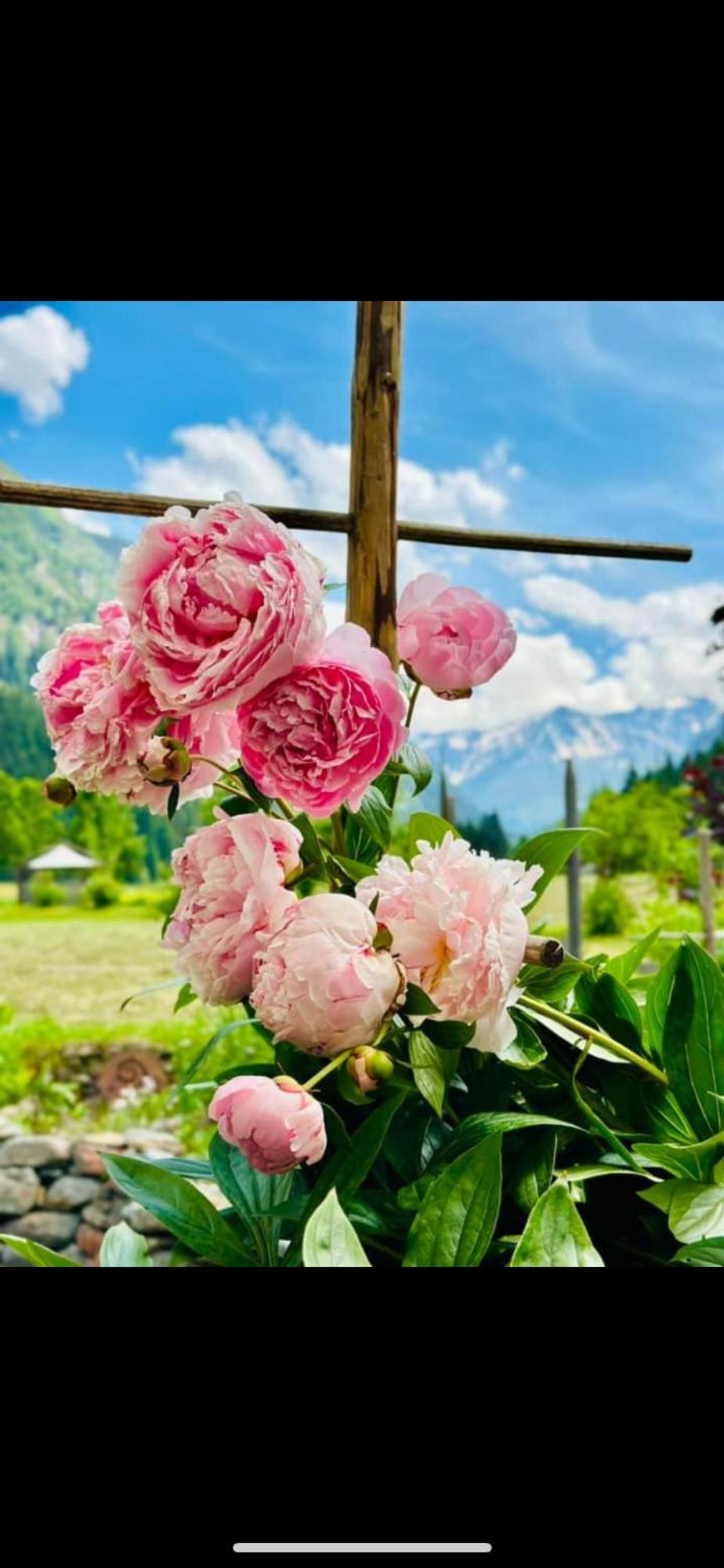 Am Gribesgraben Sonthofen