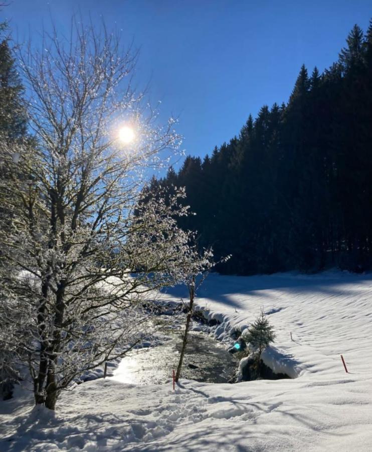 Am Gribesgraben Apartamento *