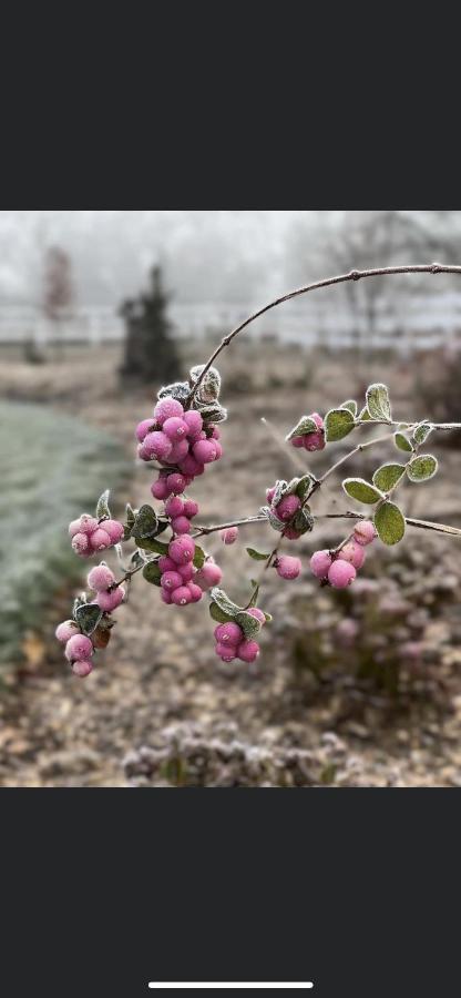 Am Gribesgraben * Sonthofen